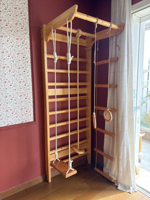 Échelle suédoise Espalier Kombi 3 240 Color Jeu, Espalier suédois, Terrain de Jeu pour Les Enfants, Jouets, Bois, Bébé, EU entrepôt, Certificat Échelle suédoise Espalier Kombi 3 240 Color Jeu, Espalier suédois, Terrain de Jeu pour Les Enfants, Jouets, Bois, Bébé, EU entrepôt, Certificat