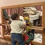 Miroir avec barre de brachiation